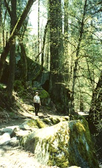 Tenaya Canyon Loop Trail