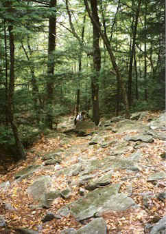 Climbing up a steep section of the trail